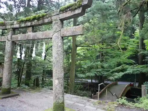 花園神社の鳥居