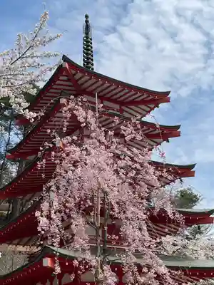 新倉富士浅間神社(山梨県)