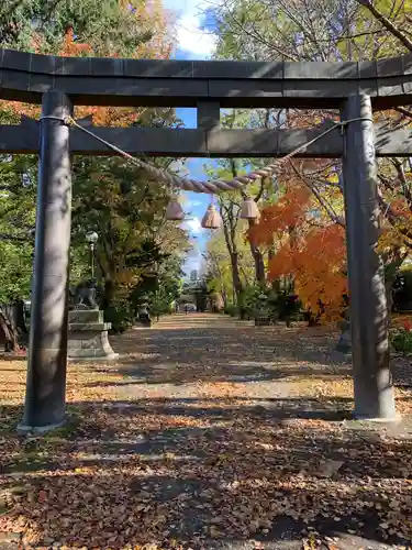 信濃神社の鳥居