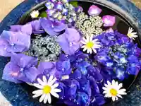 真言宗 善通寺派 薬王寺の手水舎