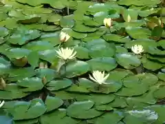 法華寺(岐阜県)