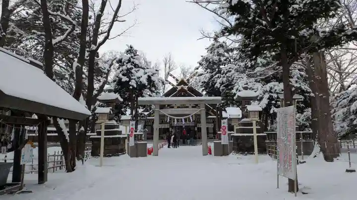 新琴似神社(北海道)