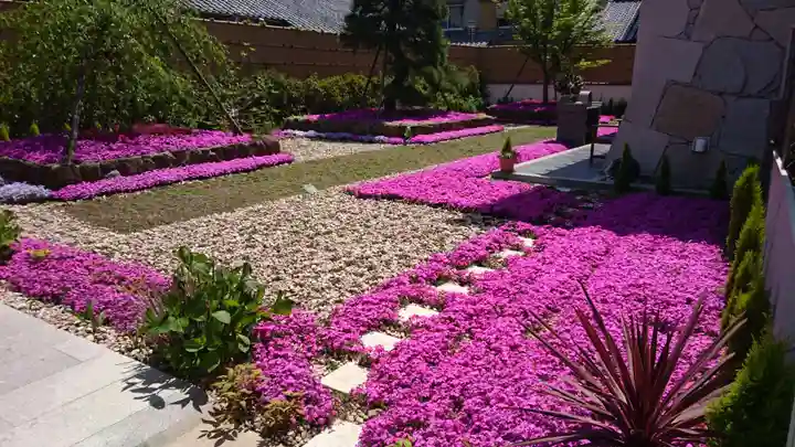 寿量山 速成寺の庭園