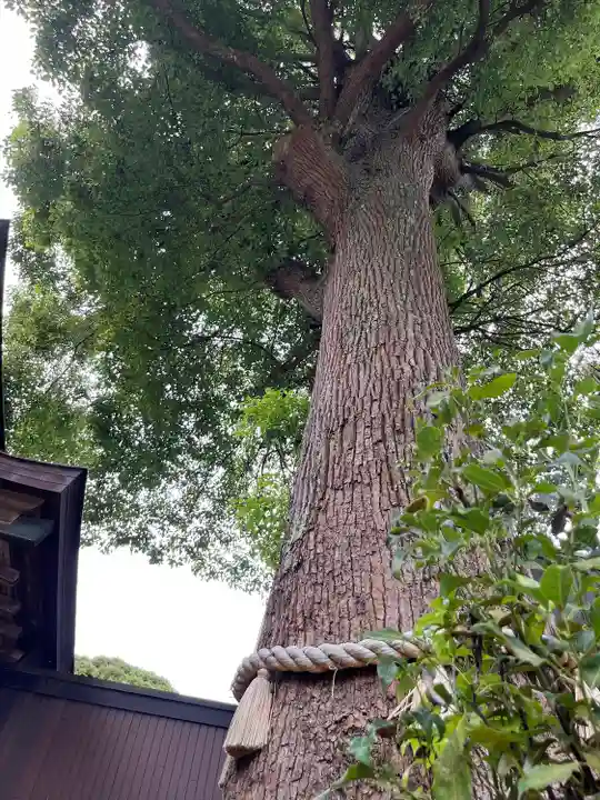 酒列磯前神社(茨城県)