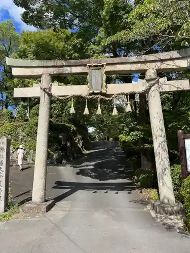 佐久奈度神社(滋賀県)
