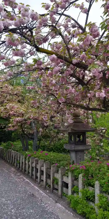 六孫王神社の自然
