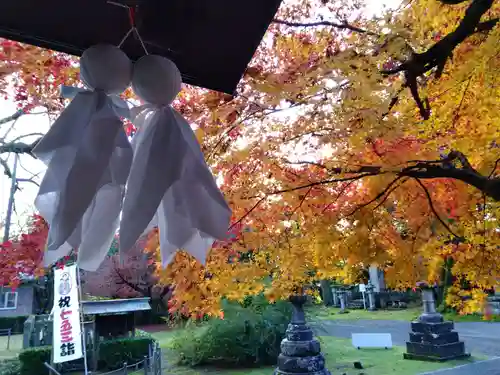足羽神社(福井県)