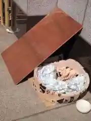 白金氷川神社の動物