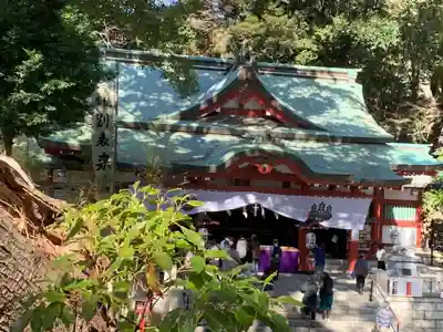 來宮神社の本殿・本堂