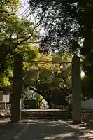 伊曽乃神社(愛媛県)