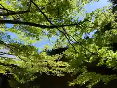 滑川神社 - 仕事と子どもの守り神(福島県)