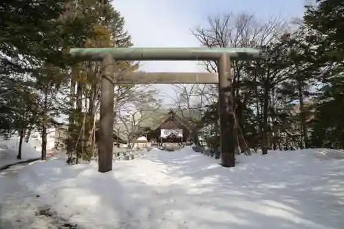 信濃神社の鳥居