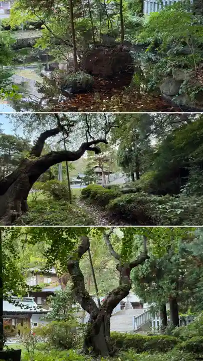 函館八幡宮(北海道)