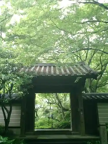 瑞泉寺の山門