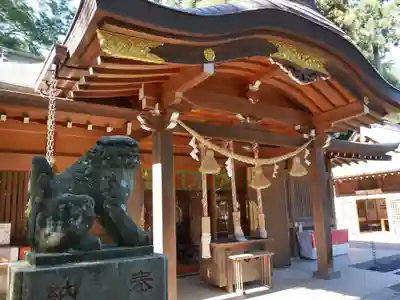 岩槻久伊豆神社の本殿・本堂