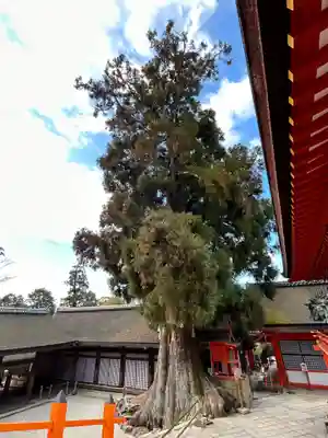 春日大社(奈良県)