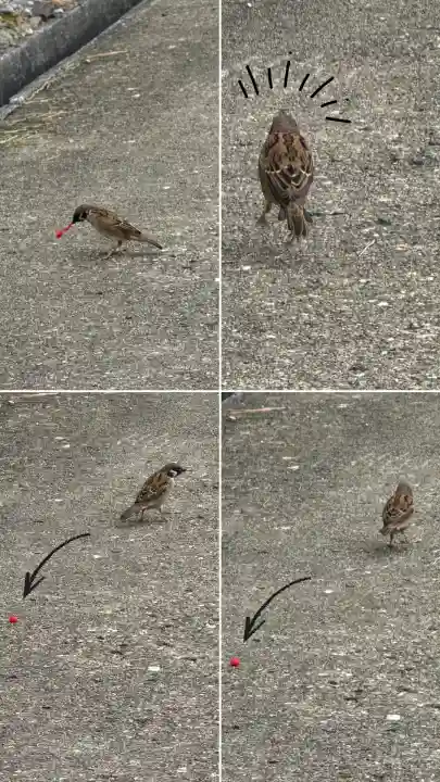 七重浜海津見神社(北海道)