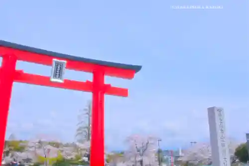 富士山本宮浅間大社(静岡県)