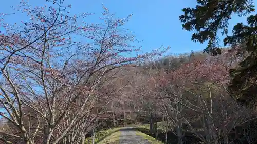 厚岸神社の自然
