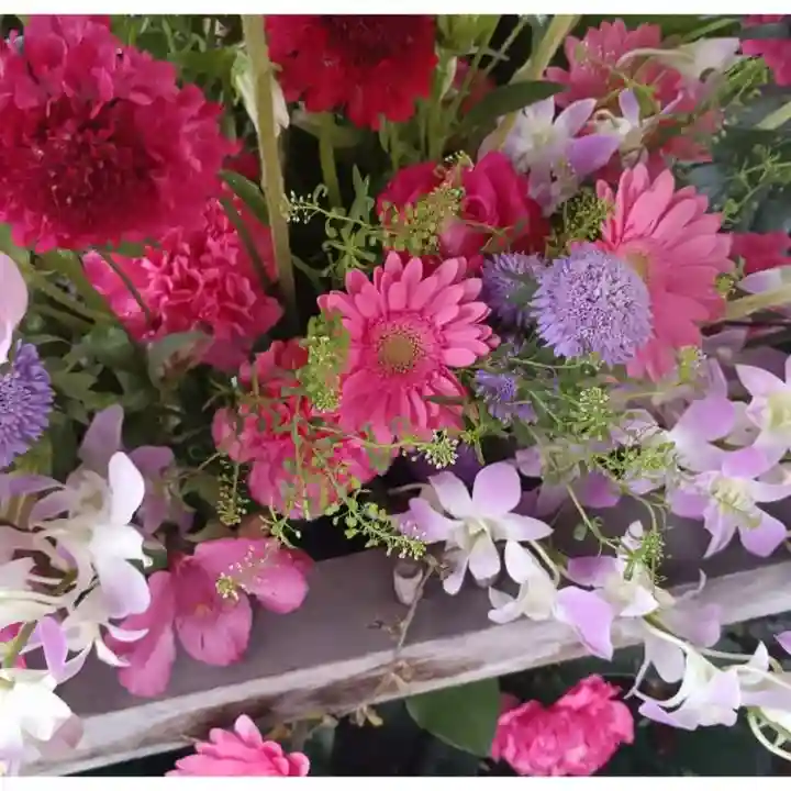彌彦神社 (伊夜日子神社)の手水舎