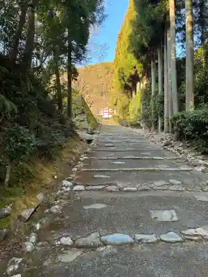正伝護国禅寺(正伝寺･正傳寺)の{uncategorized: "未分類", other: "その他", undefined: "問題あり", building: "その他建物", grave: "お墓", sacred_gate: "鳥居", guardian: "狛犬", statue: "像", buddha: "仏像", history: "歴史", nature: "自然", garden: "庭園", animal: "動物", pagoda: "塔", temizu: "手水舎", mountain_gate: "山門・神門", sanctuary: "本殿・本堂", subordinate: "末社・摂社", art: "芸術", scenery: "景色", jizo: "地蔵", ema: "絵馬", goshuin: "御朱印", omikuji: "おみくじ", items: "授与品その他", amulet: "お守り", goshuincho: "御朱印帳", eats: "食事", festival: "お祭り", votive_dance: "神楽", shichigosan: "七五三参", wedding: "結婚式", experience: "体験その他", initially: "初詣", around: "周辺", anti_infection: "感染症対策"}