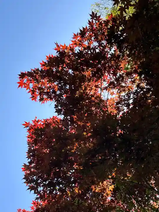 大正寺(神奈川県)