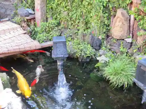 吉原弁財天本宮（吉原神社奥宮）の庭園
