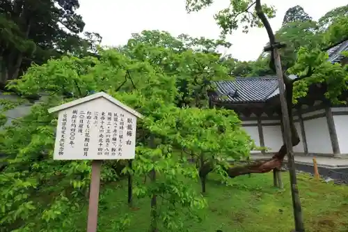 瑞巌寺の歴史