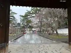 醍醐寺(京都府)