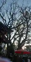 高木神社のその他建物