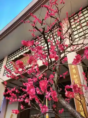 聖輪寺(東京都)