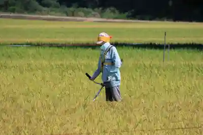 高司神社〜むすびの神の鎮まる社〜(福島県)