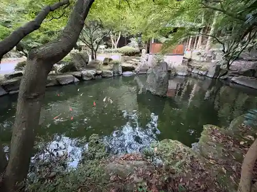 仙遊寺(愛媛県)