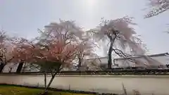 醍醐寺(京都府)