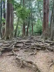 鞍馬寺の自然