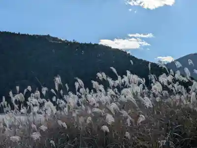 熊野本宮大社(和歌山県)