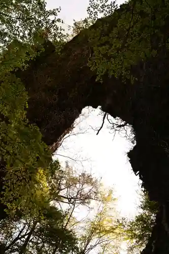 石門洞(香川県)