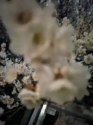 玉眞院玉川大師(東京都)