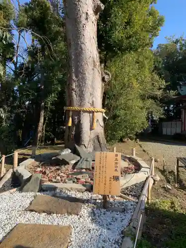 鹿嶋神社の自然