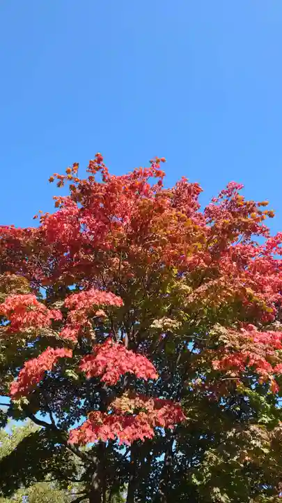相馬神社(北海道)