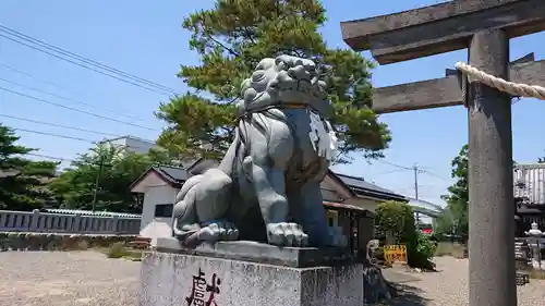 佐谷田神社の狛犬