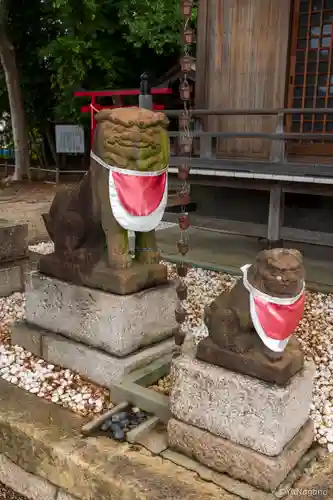 若宮住吉神社の狛犬