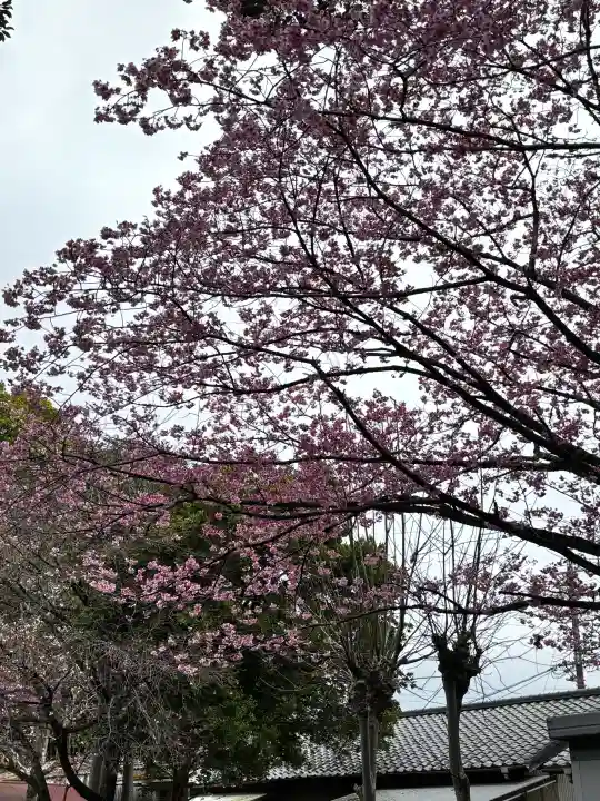靜岡縣護國神社の{uncategorized: "未分類", other: "その他", undefined: "問題あり", building: "その他建物", grave: "お墓", sacred_gate: "鳥居", guardian: "狛犬", statue: "像", buddha: "仏像", history: "歴史", nature: "自然", garden: "庭園", animal: "動物", pagoda: "塔", temizu: "手水舎", mountain_gate: "山門・神門", sanctuary: "本殿・本堂", subordinate: "末社・摂社", art: "芸術", scenery: "景色", jizo: "地蔵", ema: "絵馬", goshuin: "御朱印", omikuji: "おみくじ", items: "授与品その他", amulet: "お守り", goshuincho: "御朱印帳", eats: "食事", festival: "お祭り", votive_dance: "神楽", shichigosan: "七五三参", wedding: "結婚式", experience: "体験その他", initially: "初詣", around: "周辺", anti_infection: "感染症対策"}