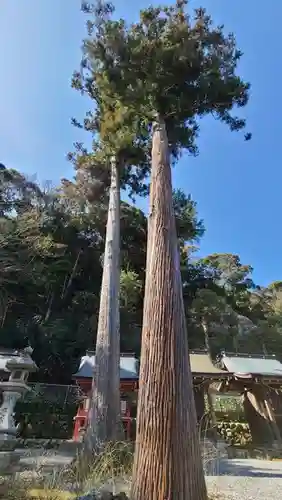 松尾大社の自然