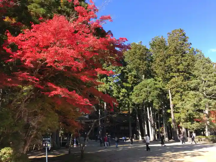 壇上伽藍(和歌山県)