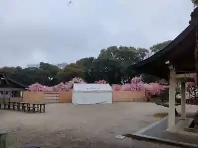 結城神社の景色