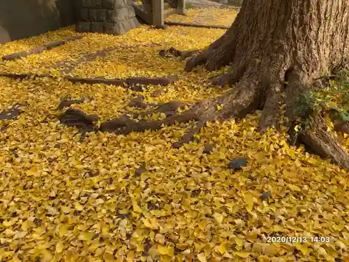 御嶽神社の自然