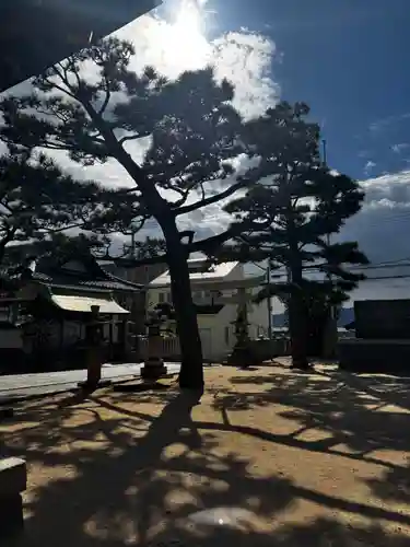 舞子六神社／まいこむの宮(兵庫県)