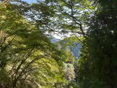 武蔵御嶽神社(東京都)