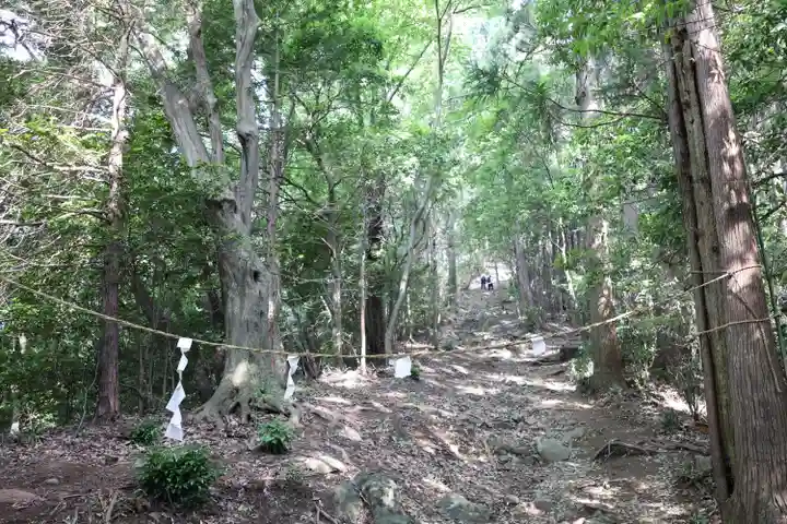 富士浅間神社の自然